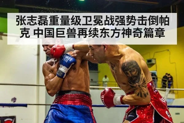 张志磊重量级卫冕战强势击倒帕克 中国巨兽再续东方神奇篇章