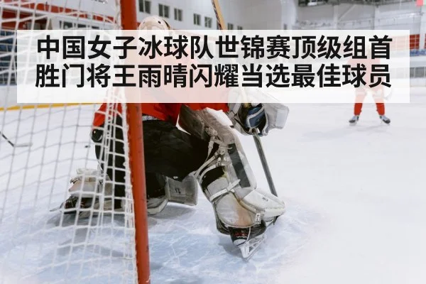 ice hockey defensive play